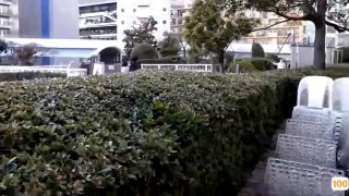 亚洲欧美中文日av在线_欧美亚洲精品成人视频